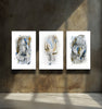 LUMINARIES